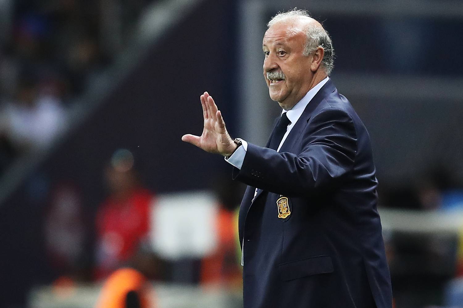 Vicente del Bosque